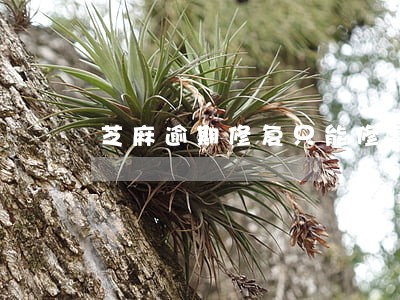 芝麻逾期修复只能修复一次吗 芝麻逾期修复只能修复一次吗