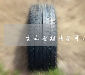 芝麻逾期修复可以修复借呗吗 芝麻逾期修复可以修复借呗吗