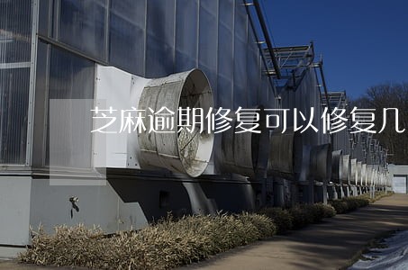 芝麻逾期修复可以修复几次 芝麻逾期修复可以修复几次