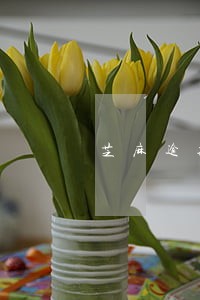 芝麻逾期修复可以修复备用金吗 芝麻逾期修复可以修复备用金吗