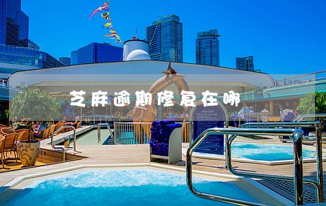 芝麻逾期修复在哪 芝麻逾期修复在哪