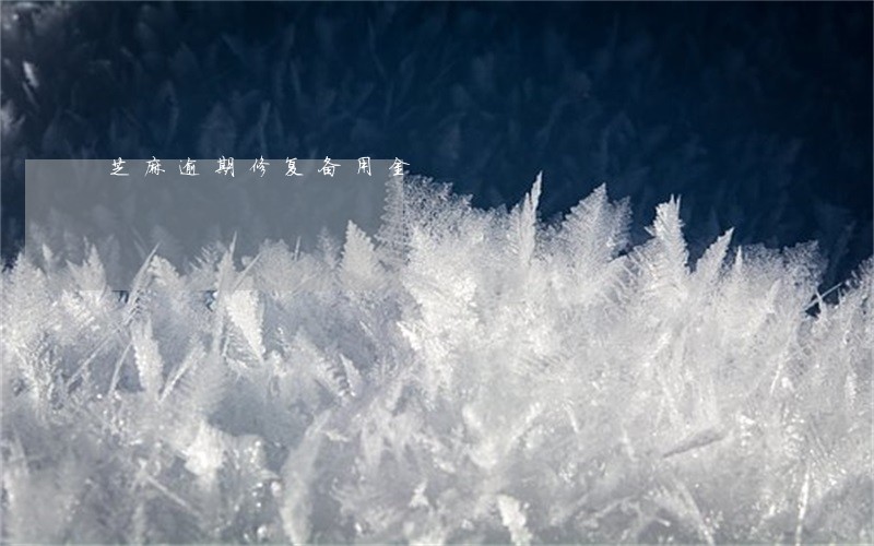 芝麻逾期修复备用金