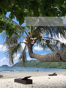芝麻逾期修复对征信有用吗