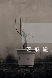 芝麻逾期修复有什用 芝麻逾期修复有什用