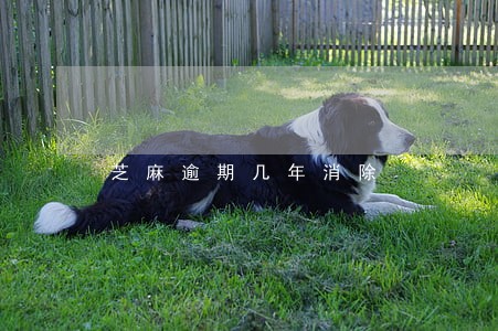 芝麻逾期几年消除 芝麻逾期几年消除