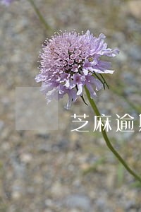 芝麻逾期后守约是还完了吗