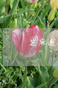 芝麻逾期图片 芝麻逾期图片