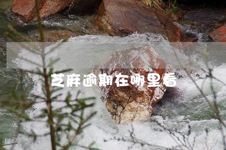 芝麻逾期在哪里看 芝麻逾期在哪里看