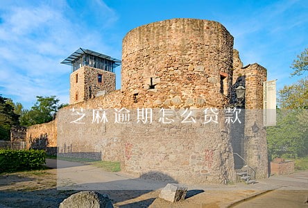 芝麻逾期怎么贷款 芝麻逾期怎么贷款
