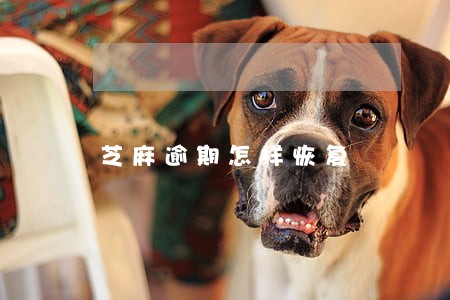 芝麻逾期怎样恢复 芝麻逾期怎样恢复