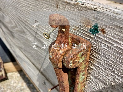 芝麻逾期每月只加一分 芝麻逾期每月只加一分