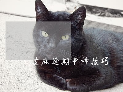 芝麻逾期申诉技巧 芝麻逾期申诉技巧