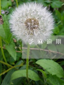 芝麻逾期申诉电话 芝麻逾期申诉电话