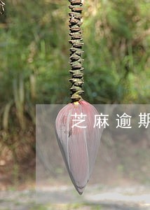 芝麻逾期网贷 芝麻逾期网贷