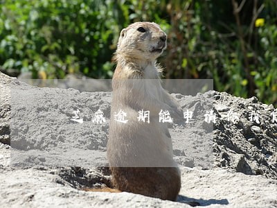 芝麻逾期能申请你我贷 芝麻逾期能申请你我贷
