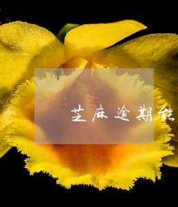 芝麻逾期能通过的学生贷款 芝麻逾期能通过的学生贷款
