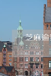 芝麻逾期记录图 芝麻逾期记录图