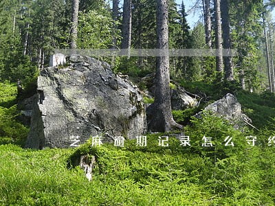 芝麻逾期记录怎么守约