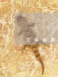 芝麻逾期记录要接电话吗 芝麻逾期记录要接电话吗