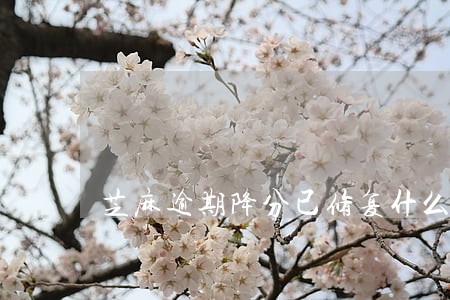 芝麻逾期降分已修复什么意思 芝麻逾期降分已修复什么意思