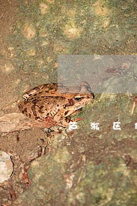 芦淞区债权债务在线律师 芦淞区债权债务在线律师