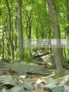 芬兰逾期一天交罚款吗 芬兰逾期一天交罚款吗