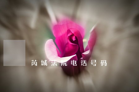 芮城法院电话号码 芮城法院电话号码