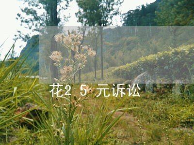 花25元诉讼 花25元诉讼