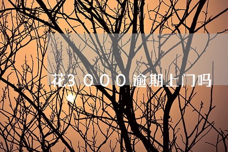 花3000逾期上门吗