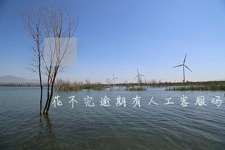花不完逾期有人工客服吗 花不完逾期有人工客服吗