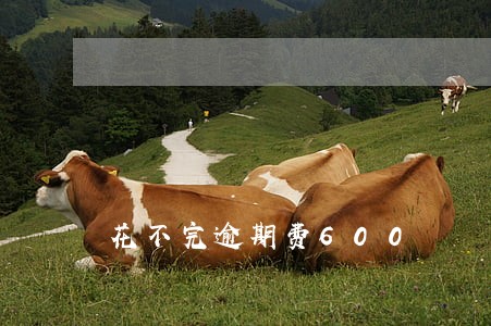 花不完逾期费600 花不完逾期费600