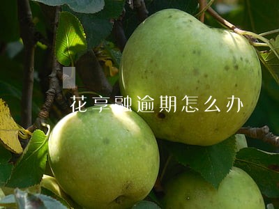 花享融逾期怎么办