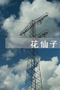 花仙子贷款逾期 花仙子贷款逾期