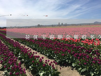 花优宝逾期会催收多久 花优宝逾期会催收多久