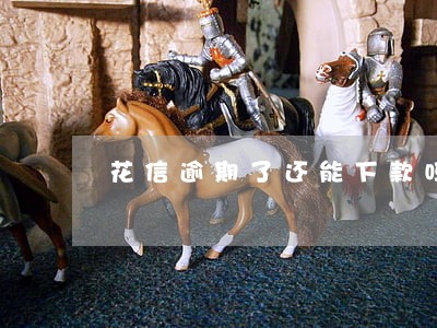 花信逾期了还能下款吗 花信逾期了还能下款吗