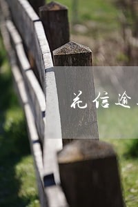 花信逾期会上门吗 花信逾期会上门吗