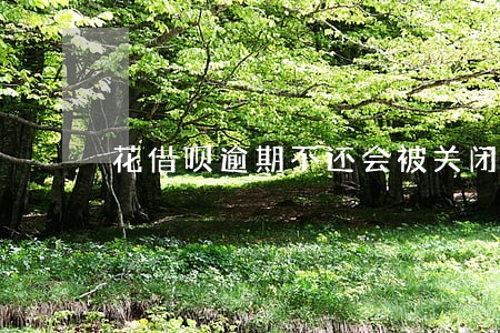 花借呗逾期不还会被关闭吗 花借呗逾期不还会被关闭吗
