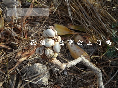 花借呗逾期会上门吗