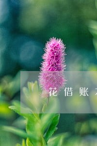 花借账本逾期后果6 花借账本逾期后果6