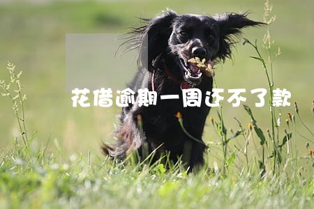花借逾期一周还不了款 花借逾期一周还不了款