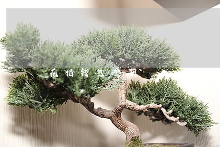 花借钱包逾期 花借钱包逾期