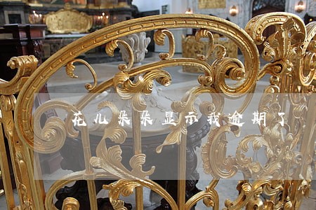 花儿朵朵显示我逾期了 花儿朵朵显示我逾期了