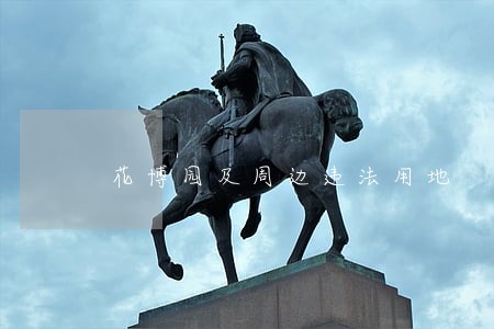 花博园及周边违法用地 花博园及周边违法用地