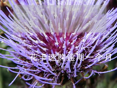 花卡速购逾期一个月 花卡速购逾期一个月