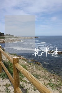 花卡速购逾期怎么不催收了 花卡速购逾期怎么不催收了