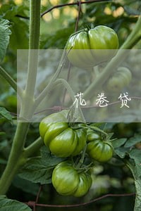花卷贷逾期几天没事 花卷贷逾期几天没事