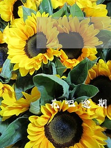 花吧逾期2个月账单一起还吗 花吧逾期2个月账单一起还吗