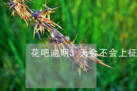 花吧逾期3天会不会上征信 花吧逾期3天会不会上征信