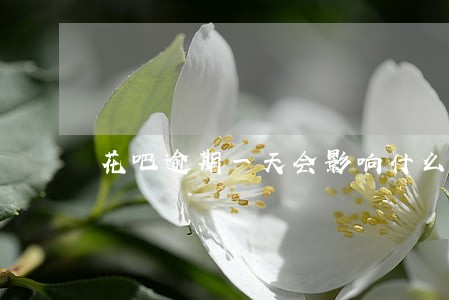 花吧逾期一天会影响什么 花吧逾期一天会影响什么