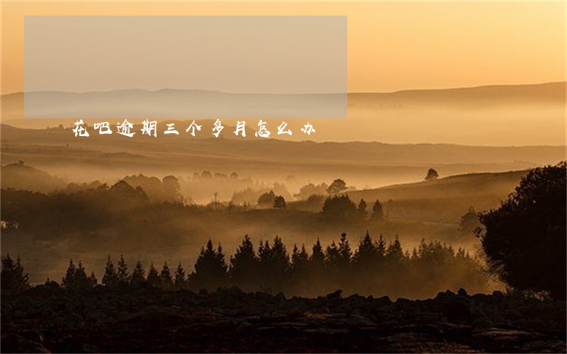 花吧逾期三个多月怎么办
